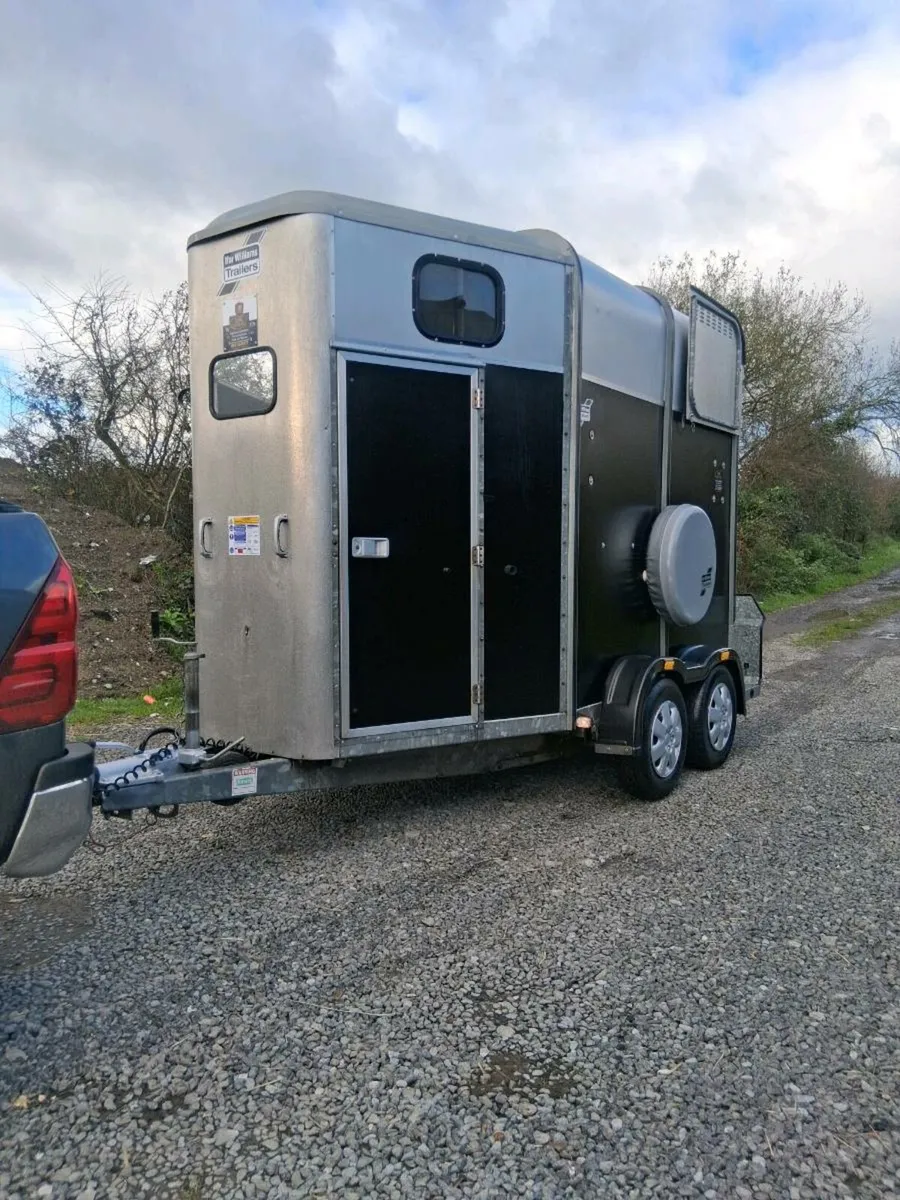 Iforwillams HB505 classic - Image 3