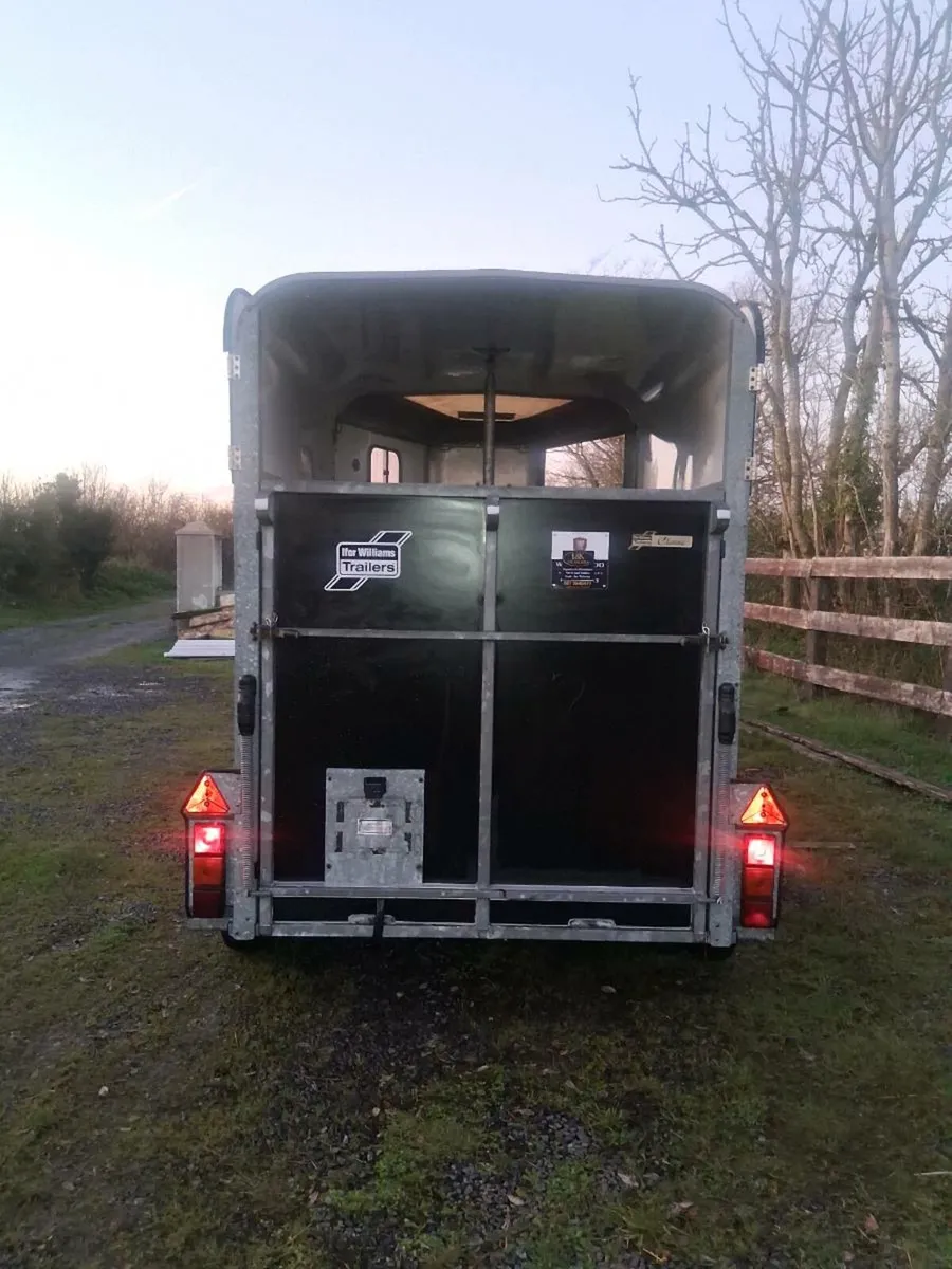 Iforwillams HB505 classic - Image 4