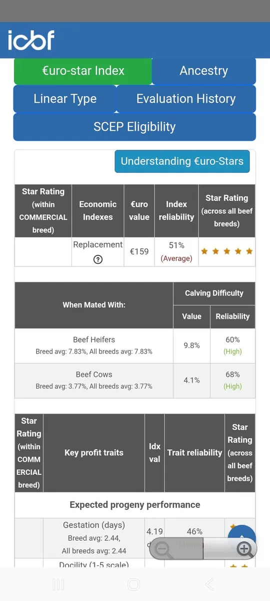 3 x Weanling Heifers and Bull - Image 4