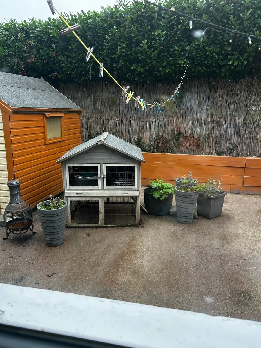 Rabbithutch - Image 1