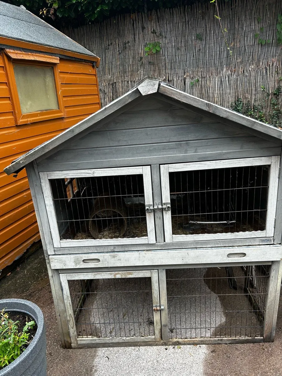 Rabbithutch - Image 3