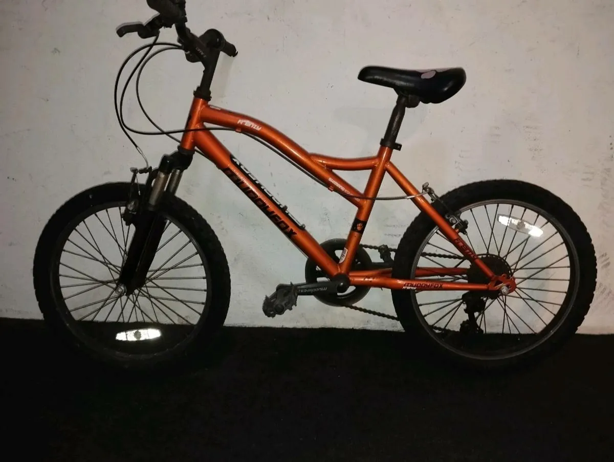 Kids 20inch bike - Image 2