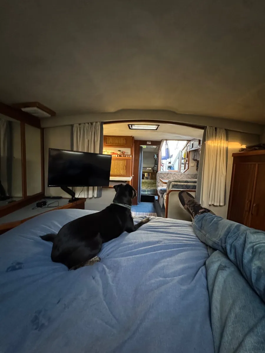 1989 Searay 340 Sundancer - Image 3