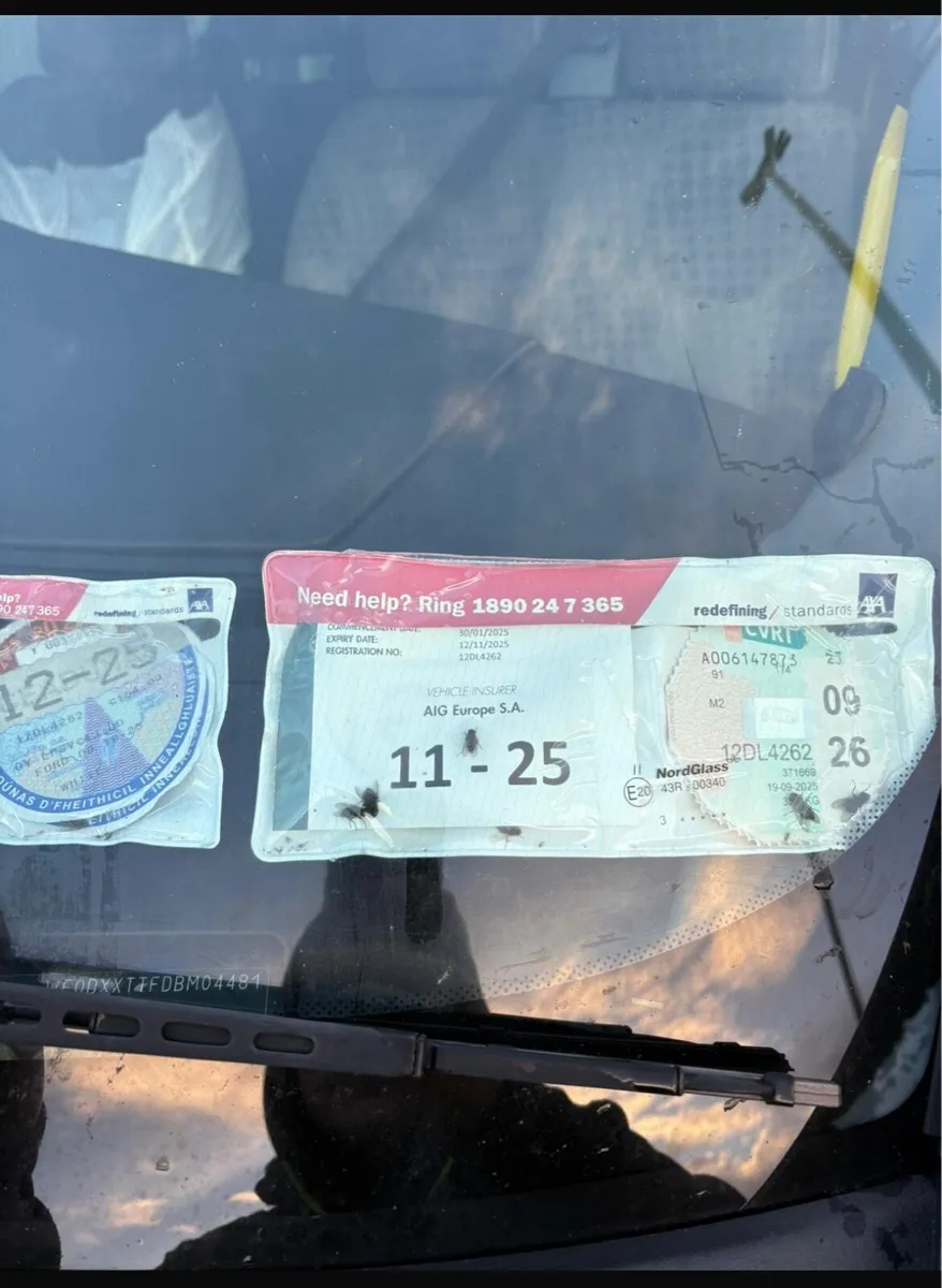 Transit Minibus - Image 4