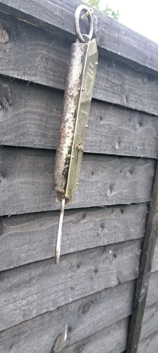 Old  brass  slatter  weighing schales - Image 2