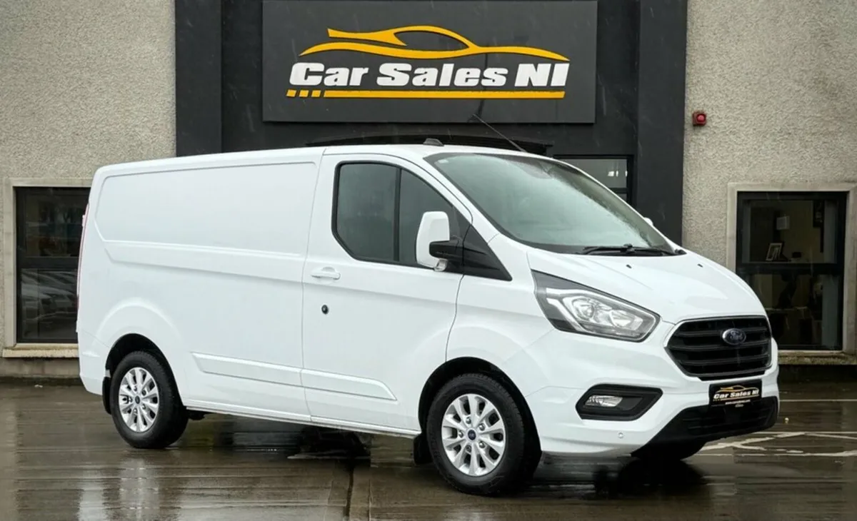 2.0 320 EcoBlue Limited Panel Van 5dr Diesel Manua - Image 1