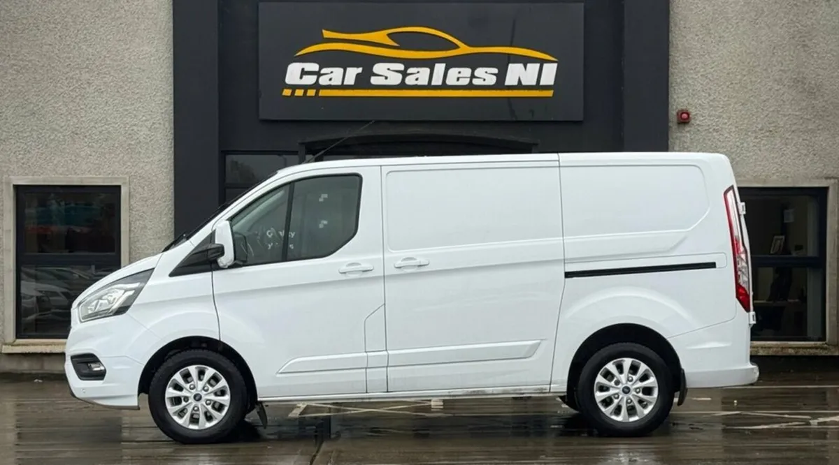 2.0 320 EcoBlue Limited Panel Van 5dr Diesel Manua - Image 3