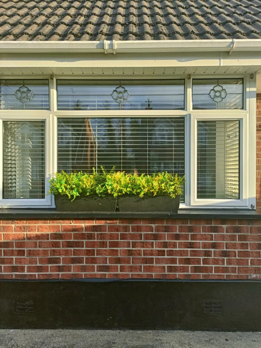 Venetian Blinds - Image 2