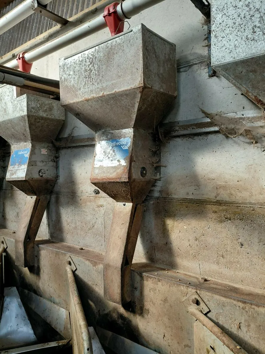 Double 9 Milking parlour complete - Image 2