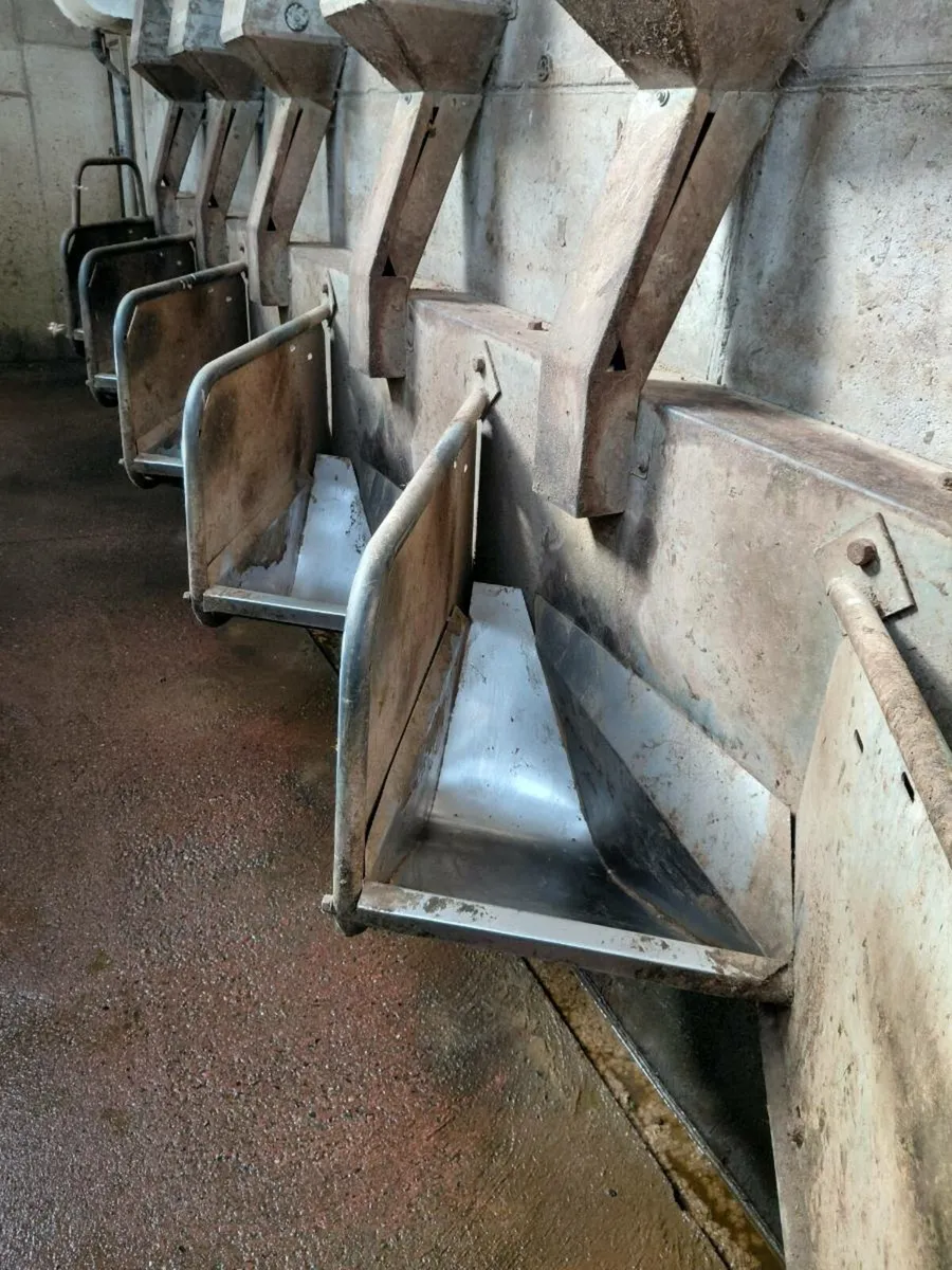 Double 9 Milking parlour complete - Image 3