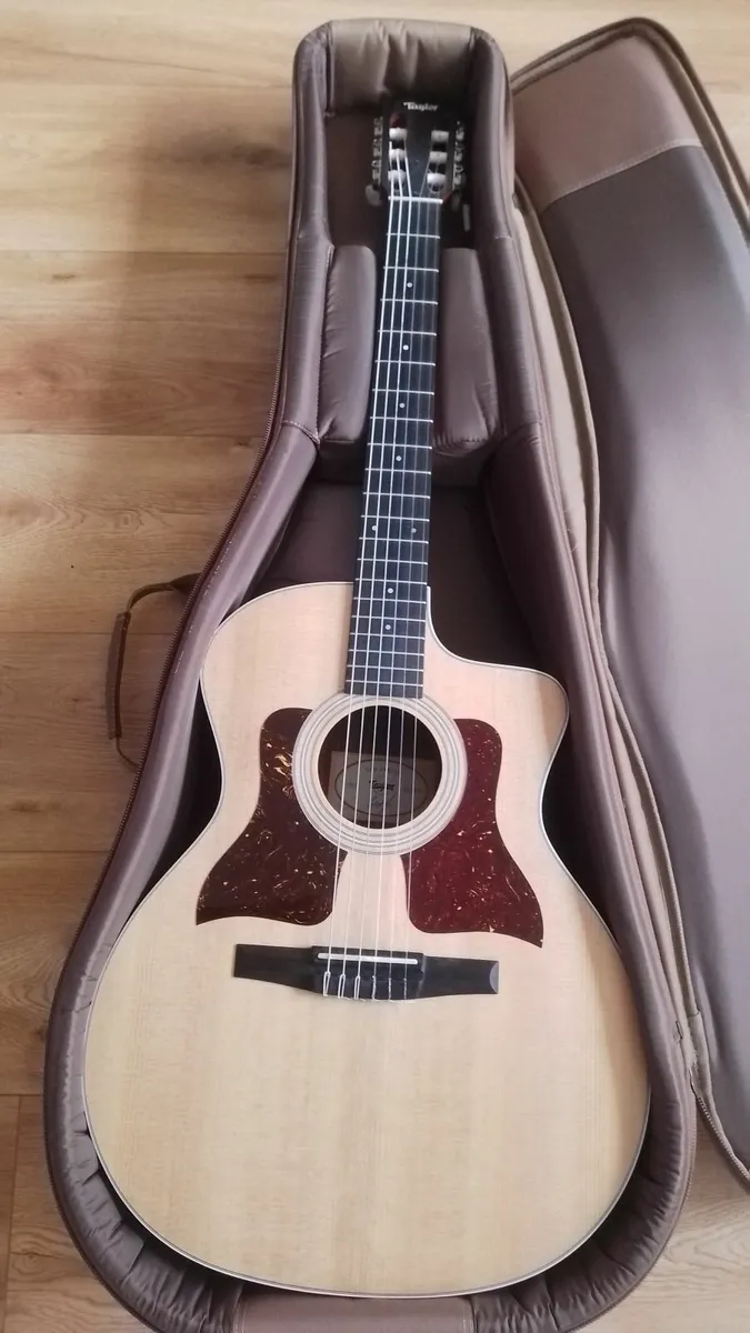 Taylor Guitar 214ce-N - Image 1