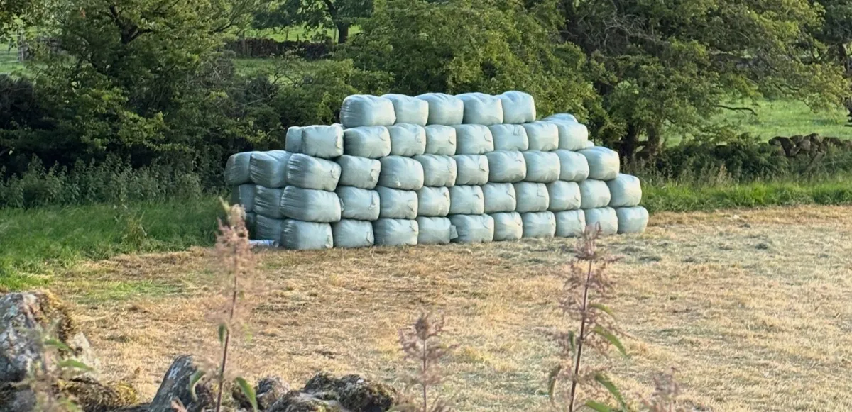 Small bale haylage - Image 1