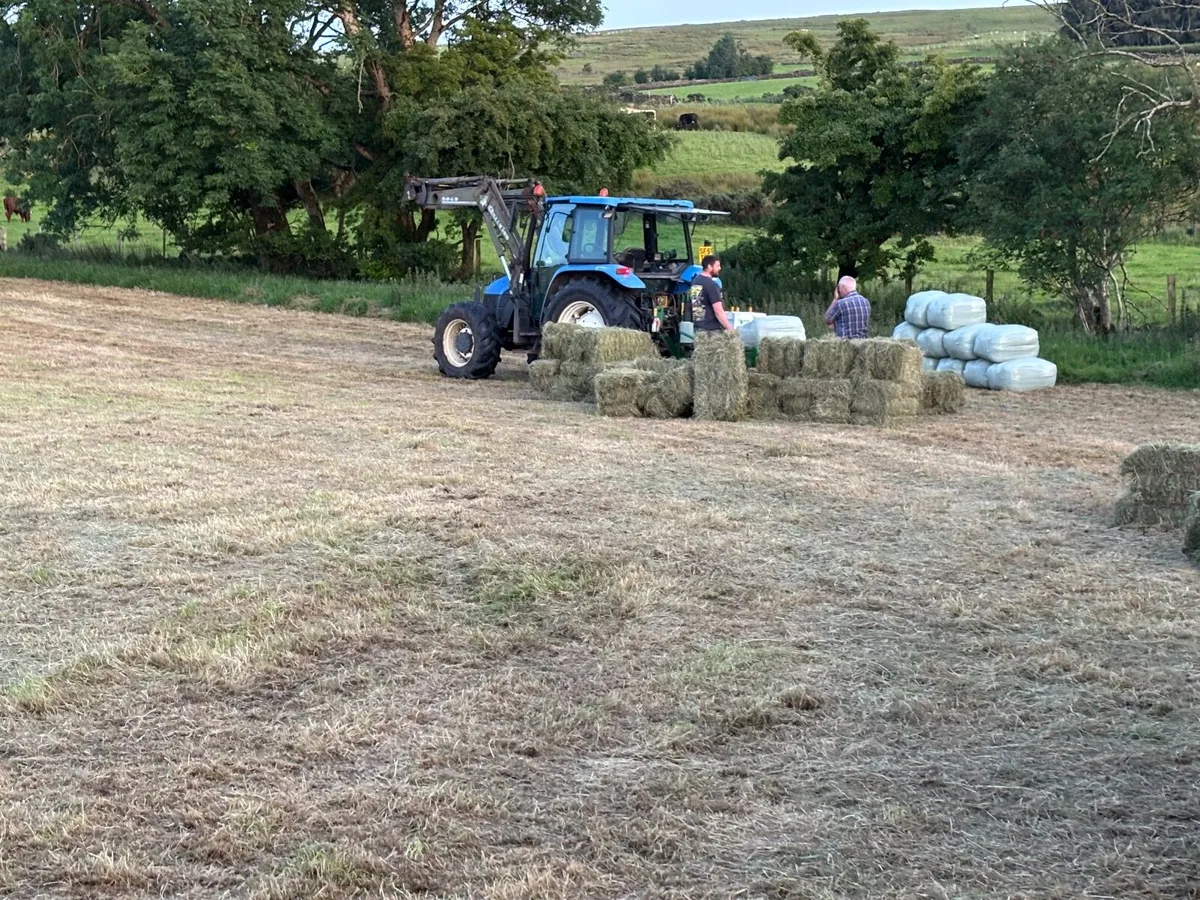 Small bale haylage - Image 2