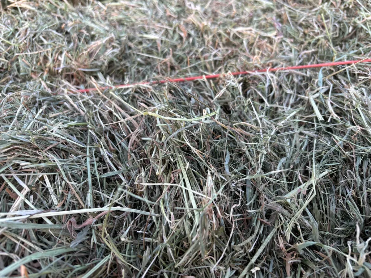 Small bale haylage - Image 3