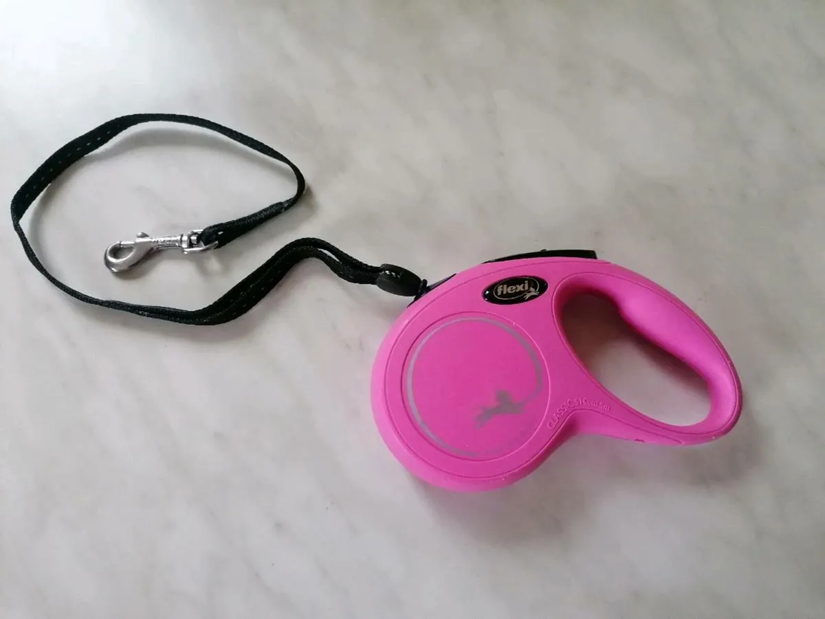Retractable Lead for Dogs - Image 1