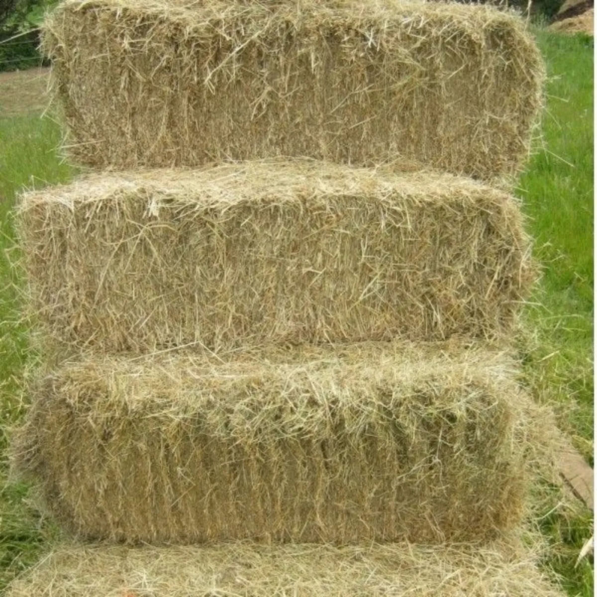 Hay for sale €4