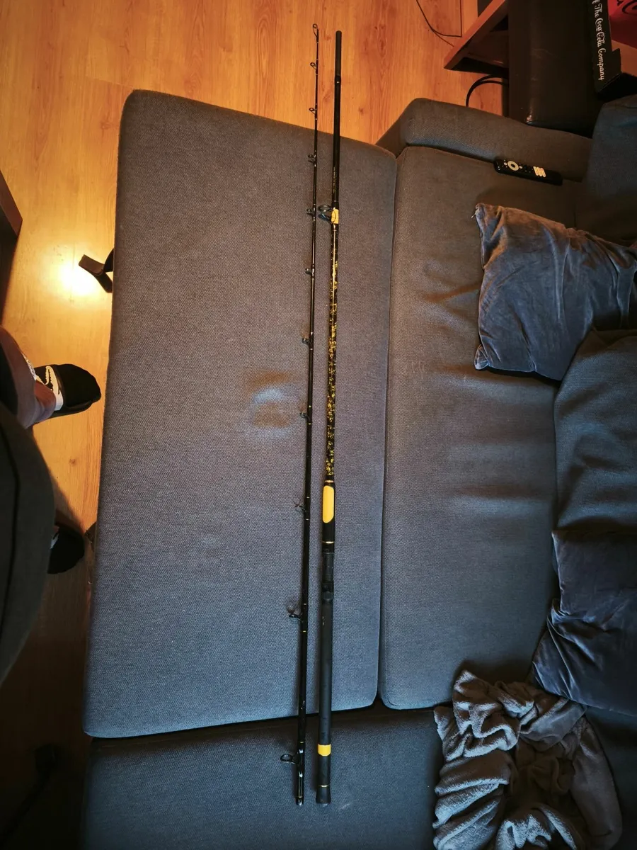 Fishing Rod Black cat perfect passion 3,30m 600g - Image 3