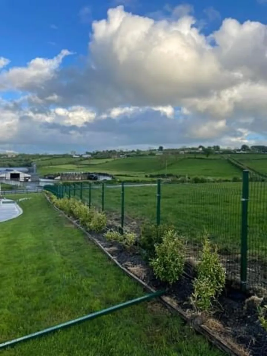 V mesh panels,gates,posts - Image 4