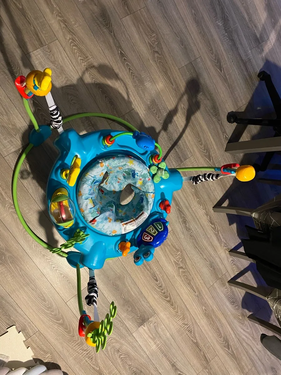 Baby Einstein jumperoo - Image 1