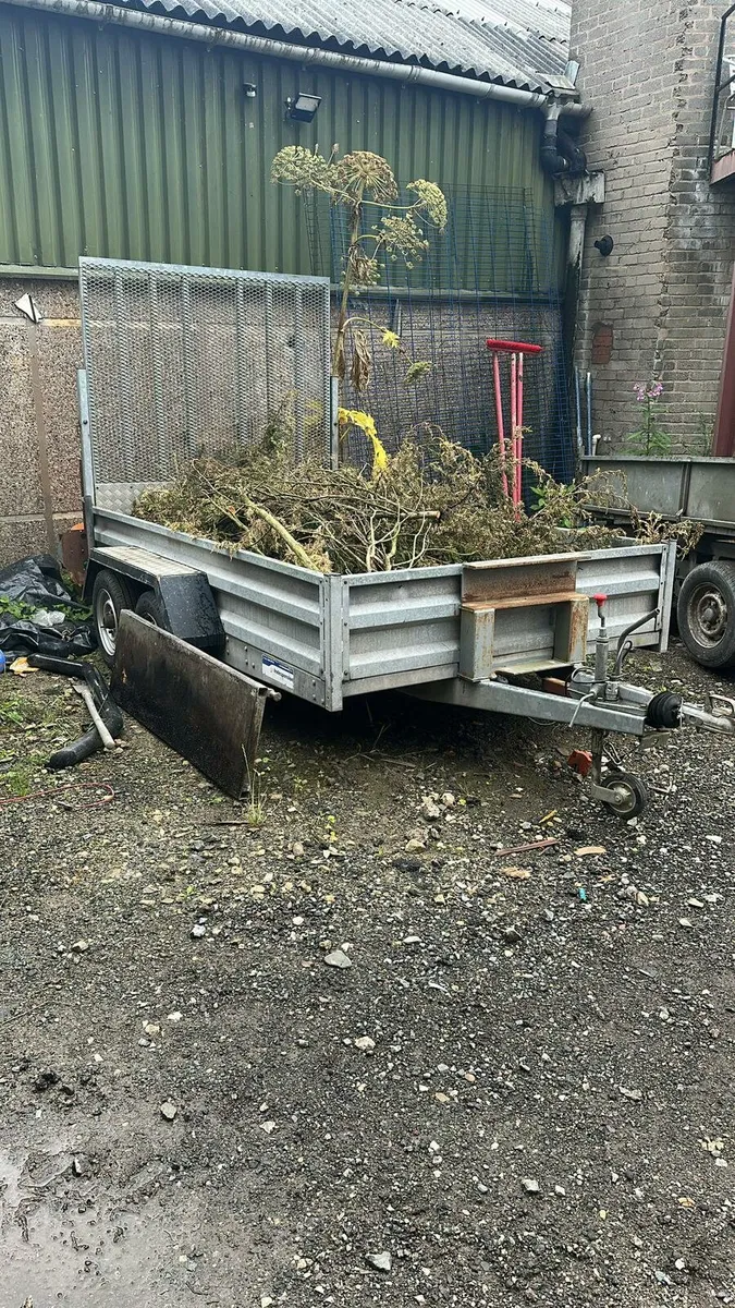 Indespension 10x6'6" - Image 1