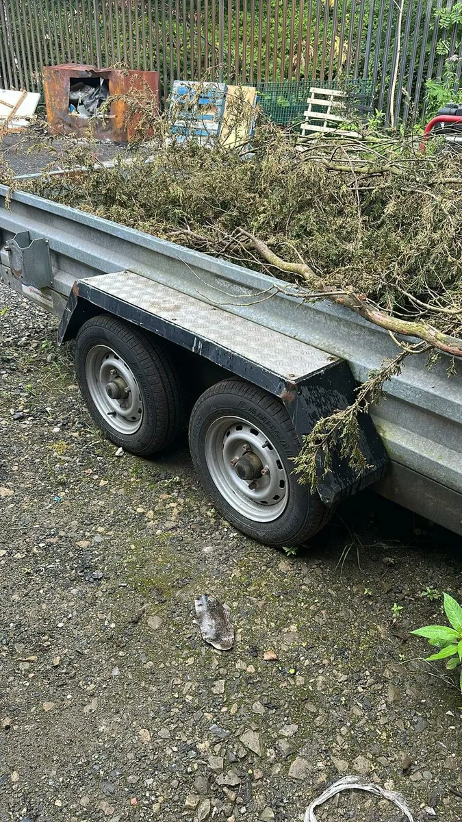 Indespension 10x6'6" - Image 3