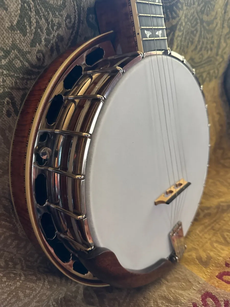 Wildwood paragon 5 string banjo - Image 3