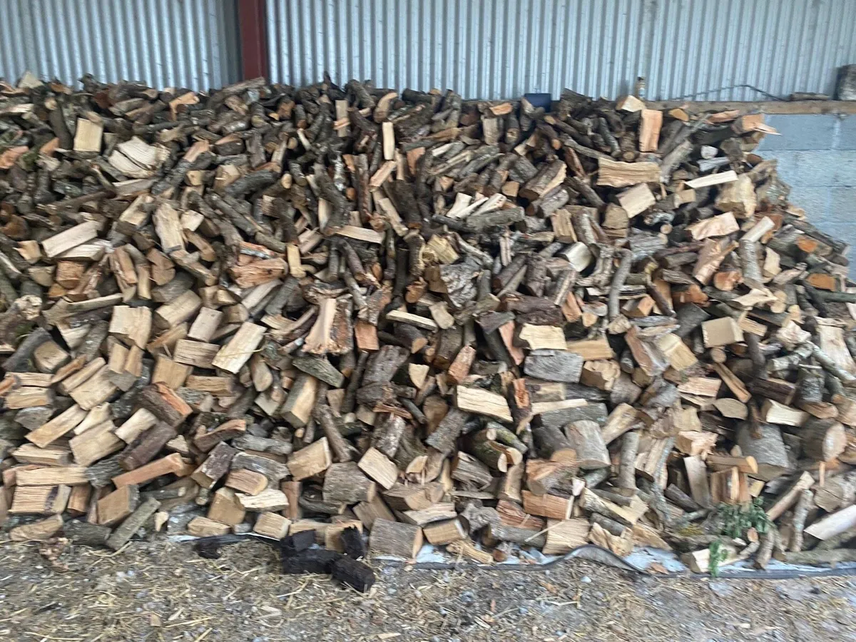 Firewood - Image 2