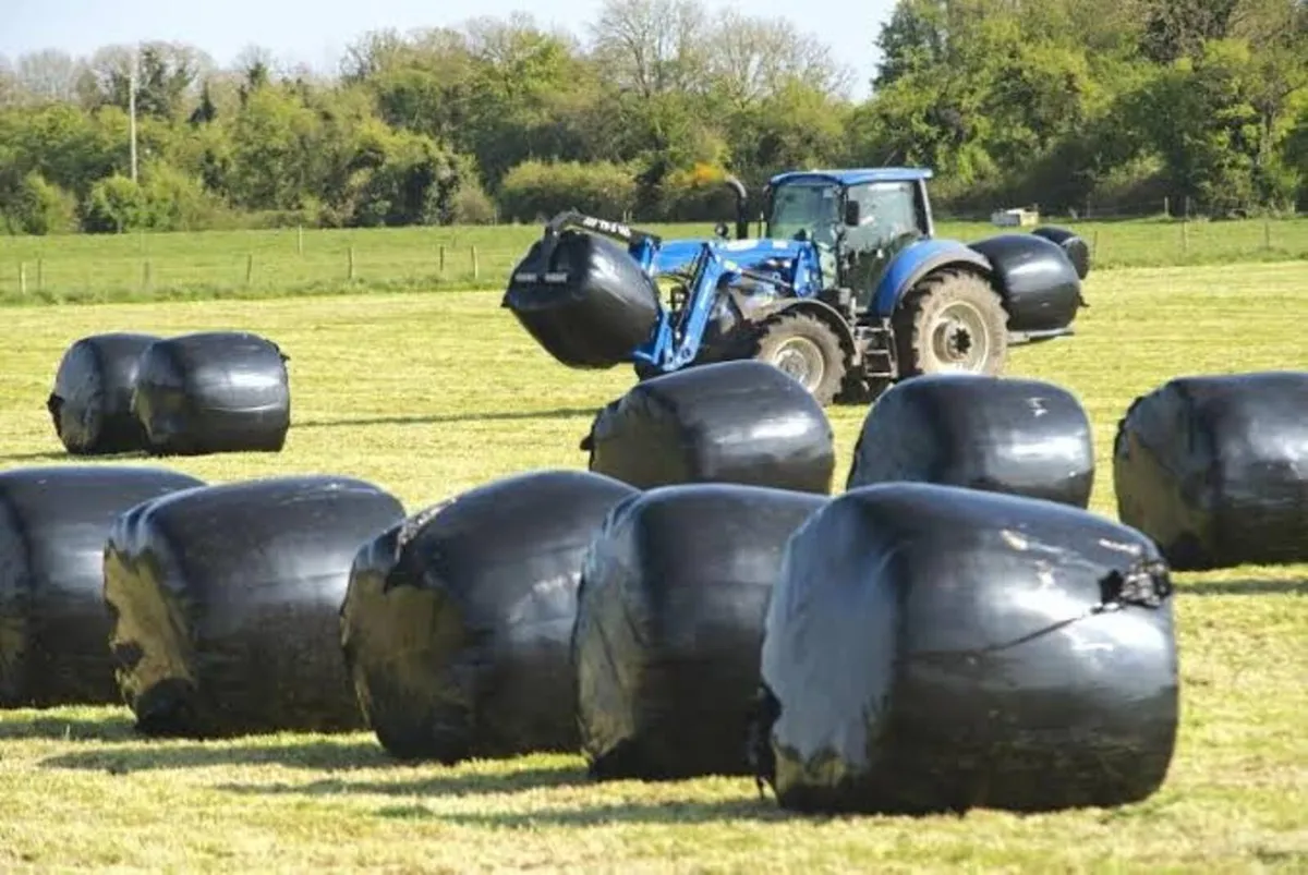 Chopped Silage Bales