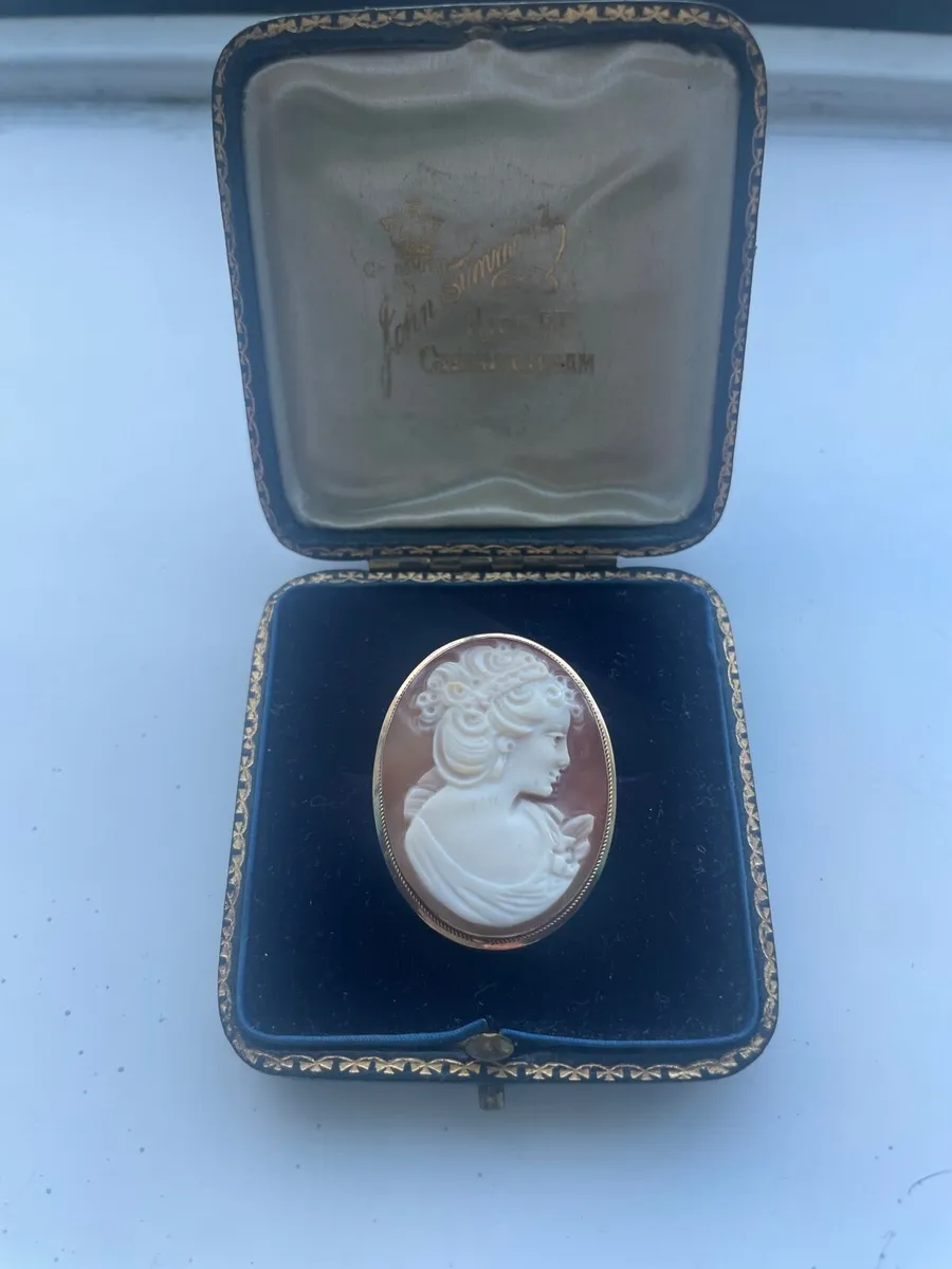 Vintage Cameo pendant / brooch - Image 1