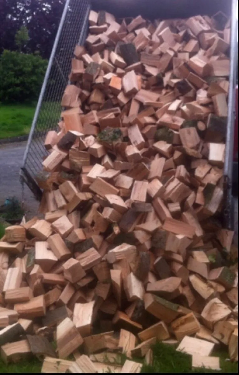 Firewood hardwood - Image 2