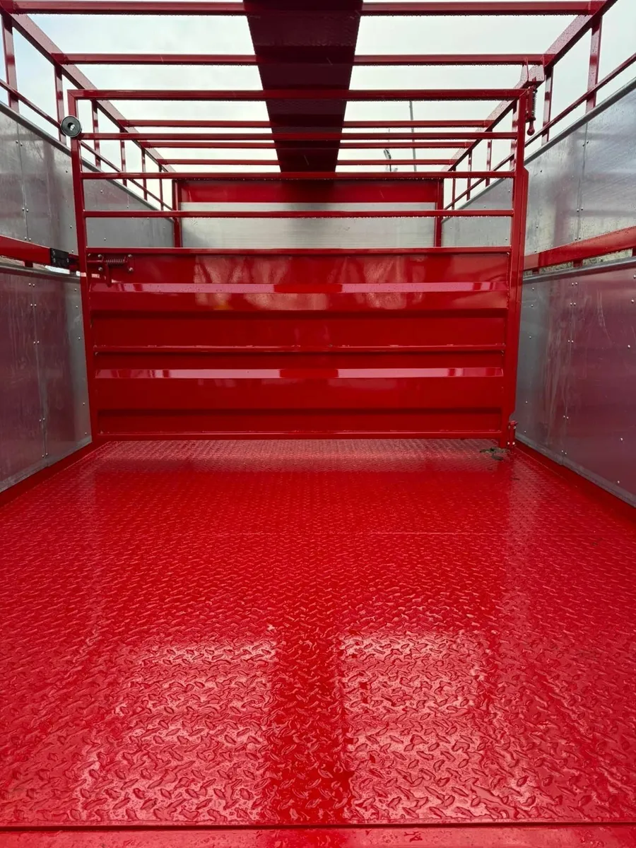 Cattle Trailer For Sale - Image 4