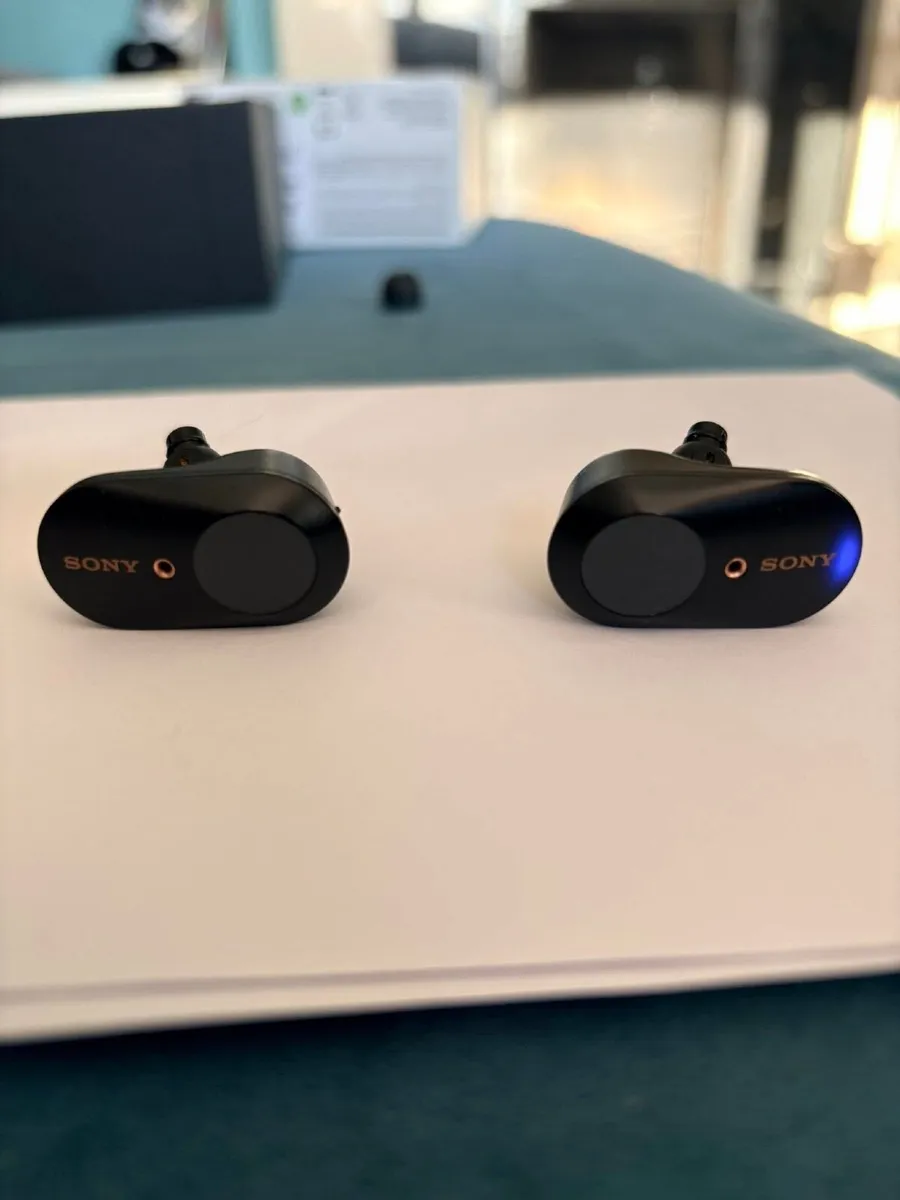 Sony WF-1000XM3 Wireless Earbuds - Image 3
