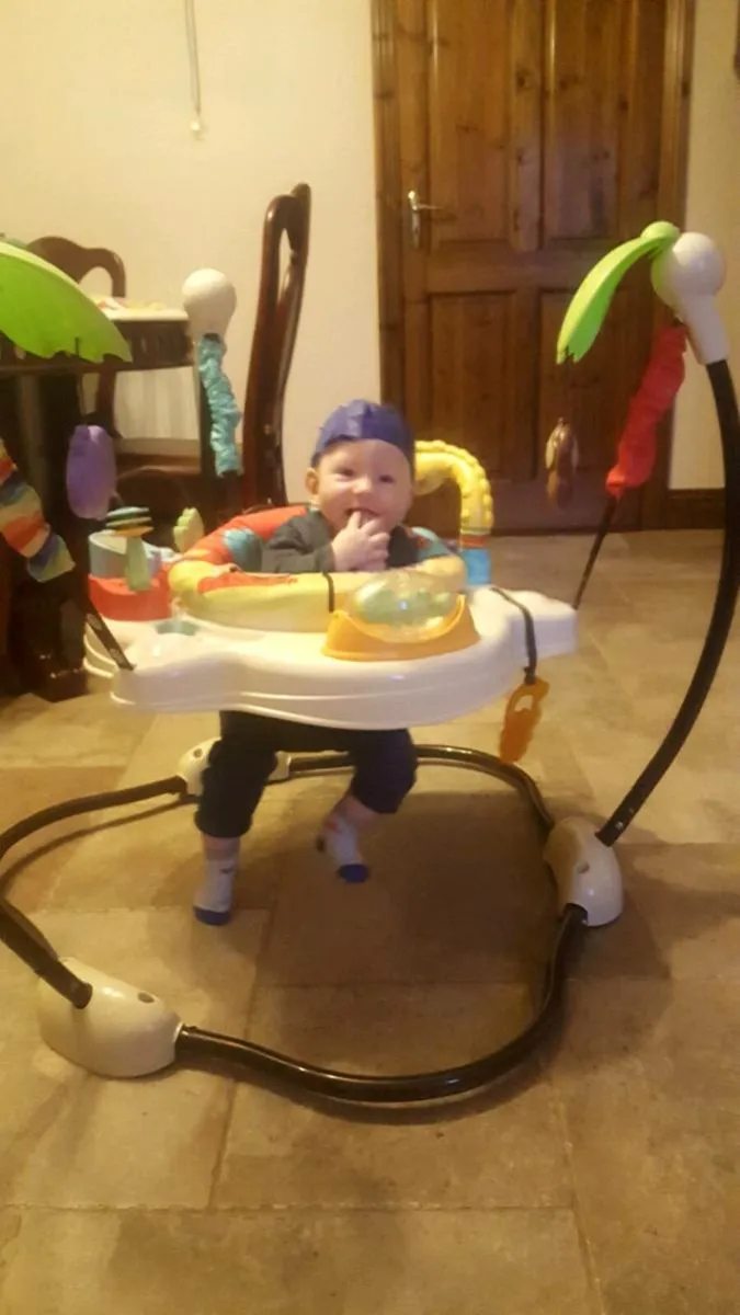 Fisher Price Jumperoo - Image 2