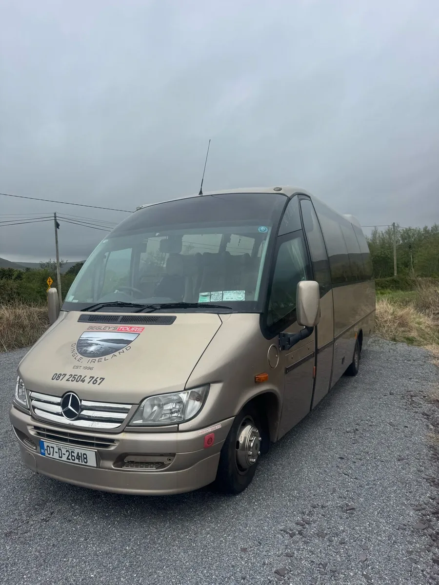 Mercedes Riada - Image 2