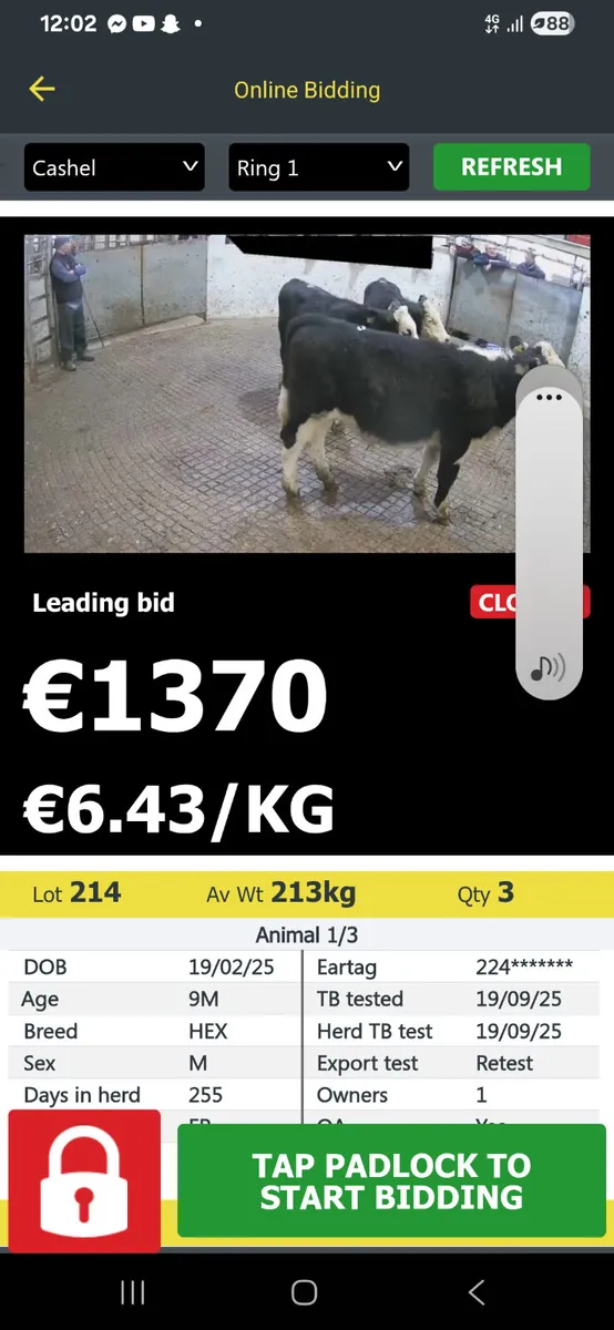 We buy all types off animals