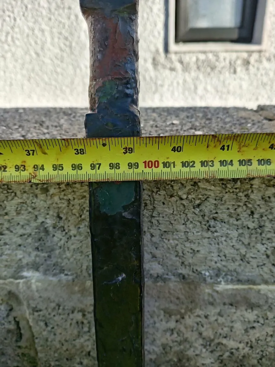 Cast iron gate - Image 2