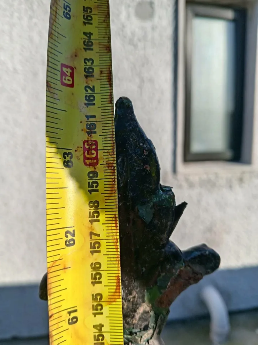 Cast iron gate - Image 3