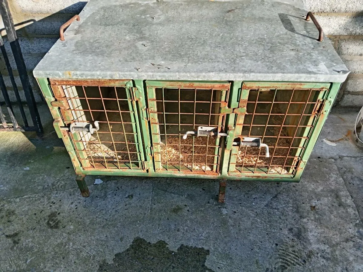 Dog carrier box - Image 1