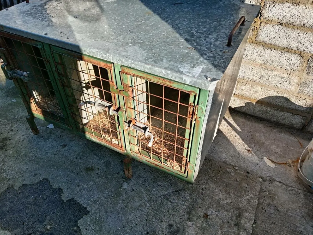 Dog carrier box - Image 3