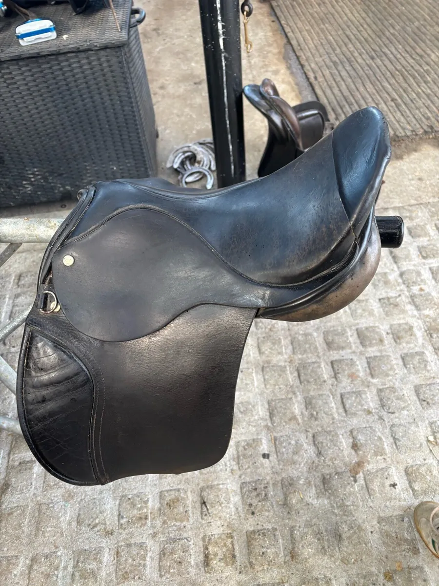 Saddle - Image 4