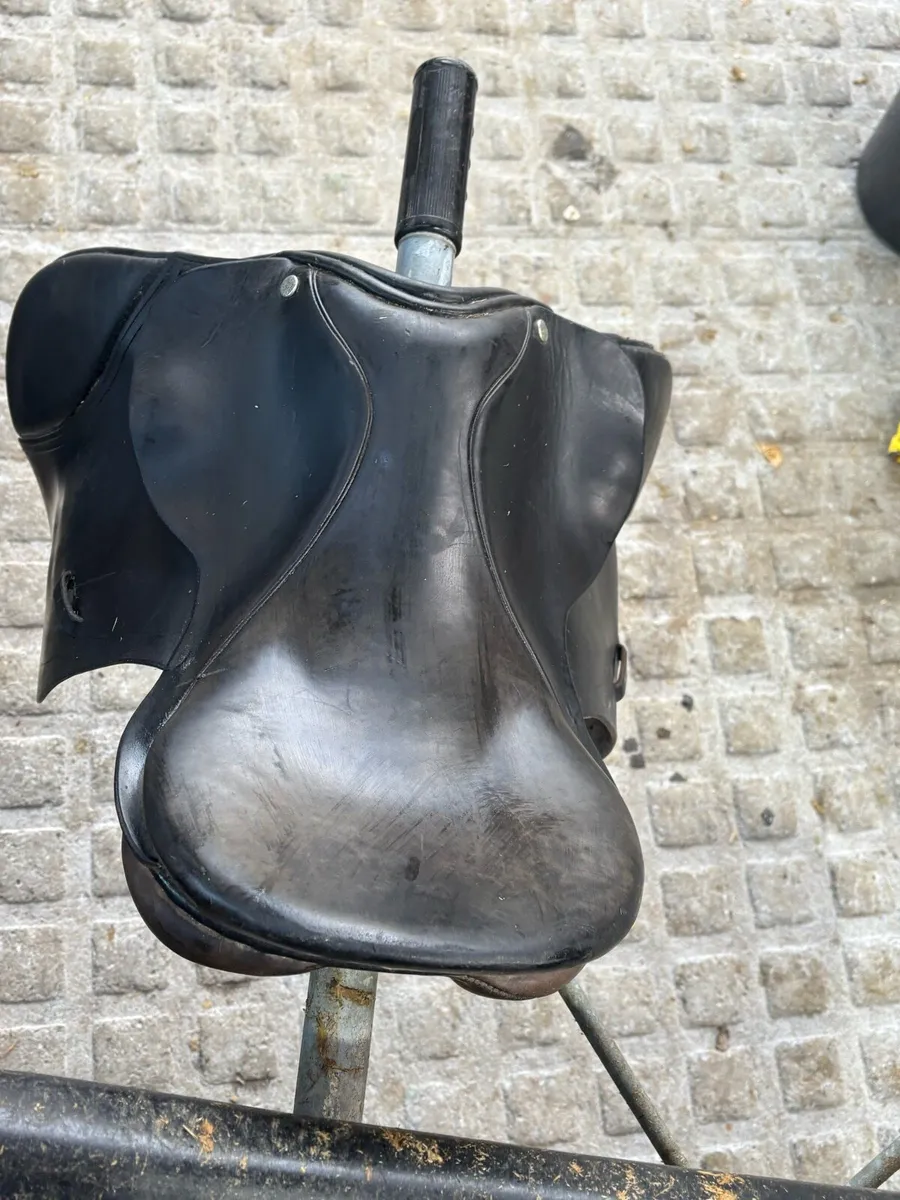 Saddle - Image 2