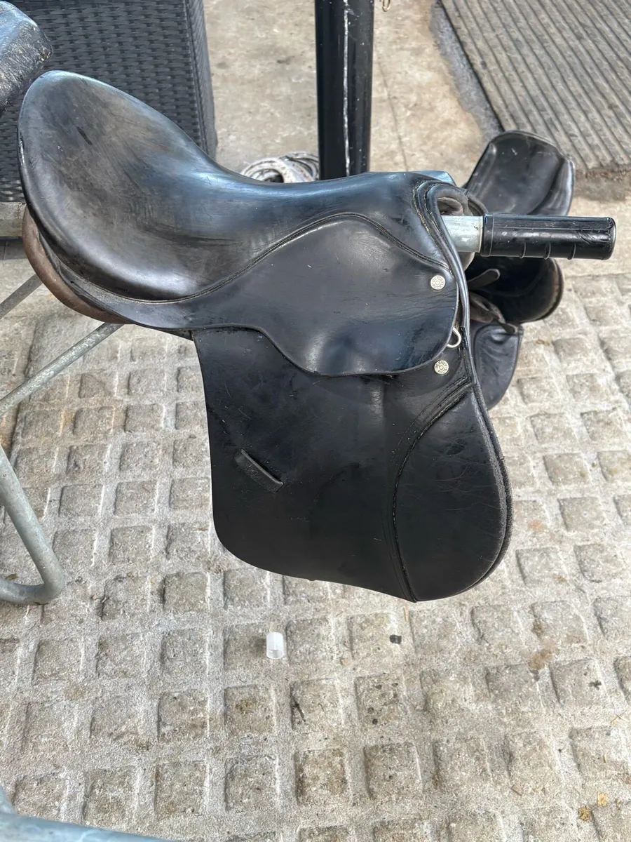 Saddle - Image 3