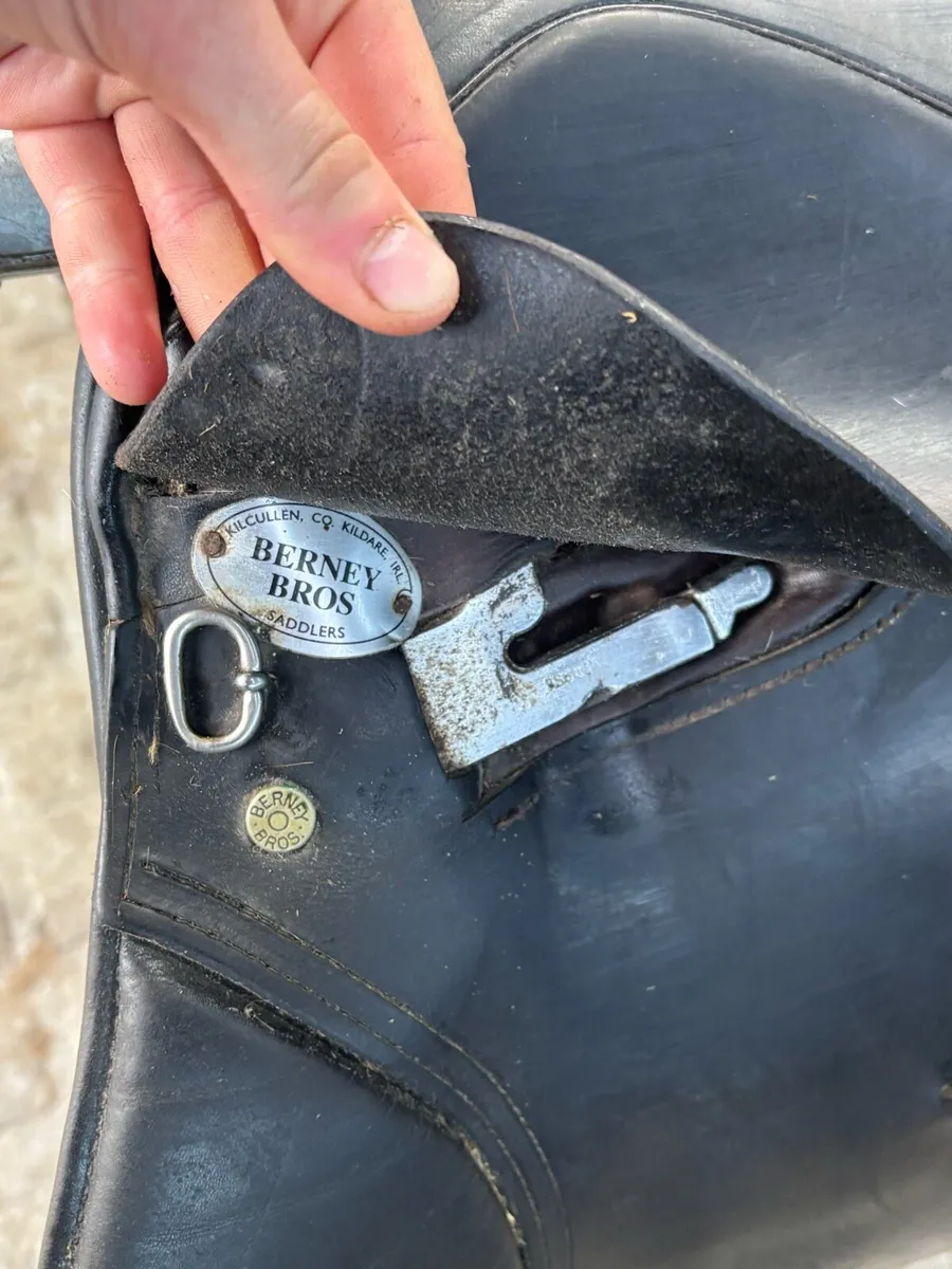 Saddle - Image 4