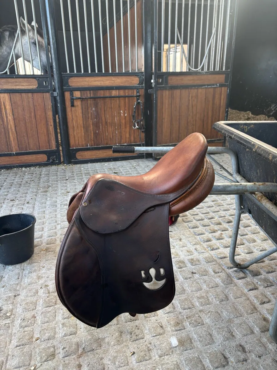 Saddle - Image 2