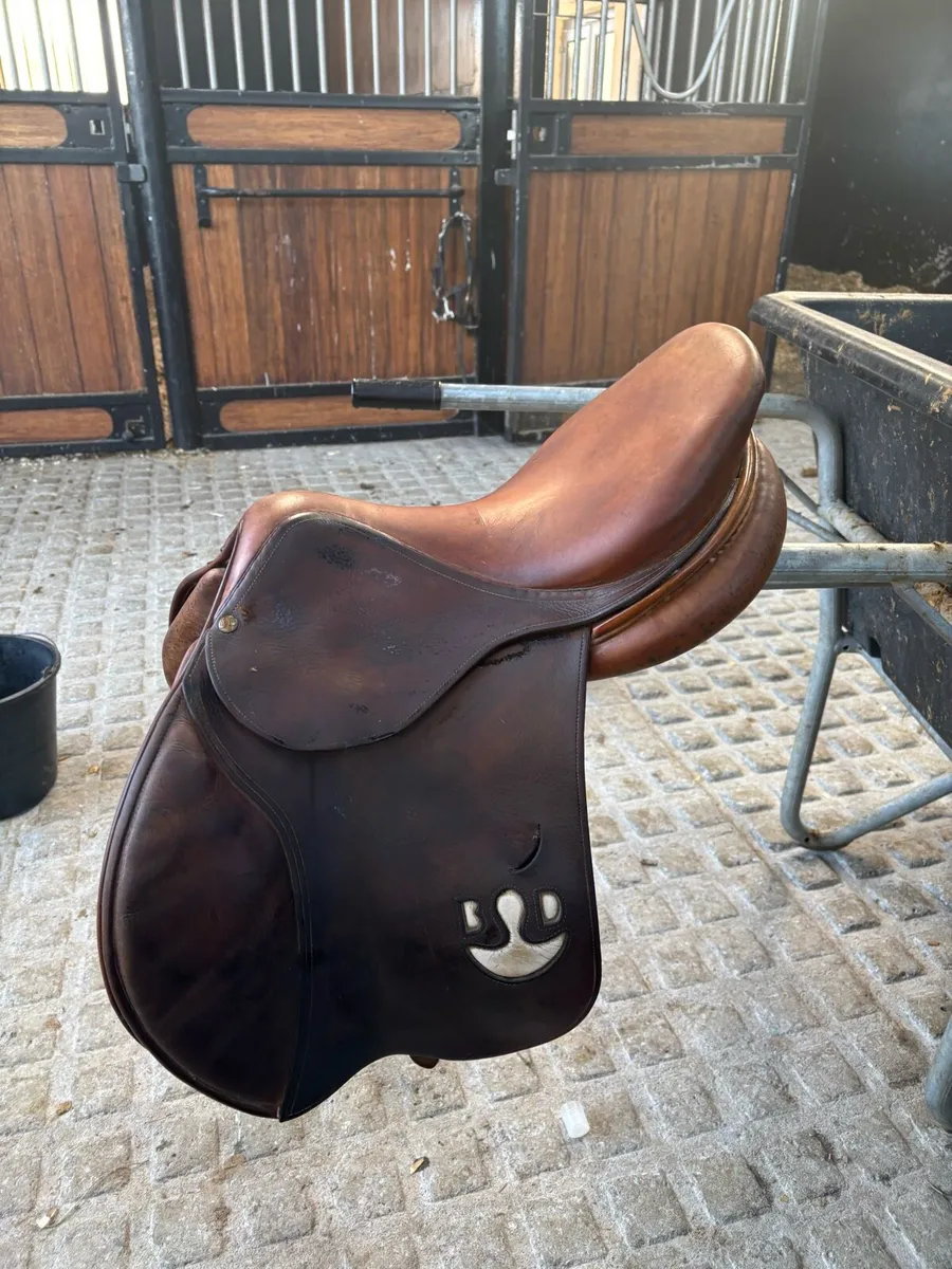 Saddle - Image 3