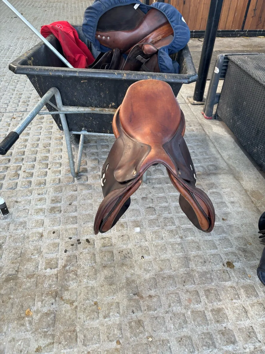 Saddle - Image 4