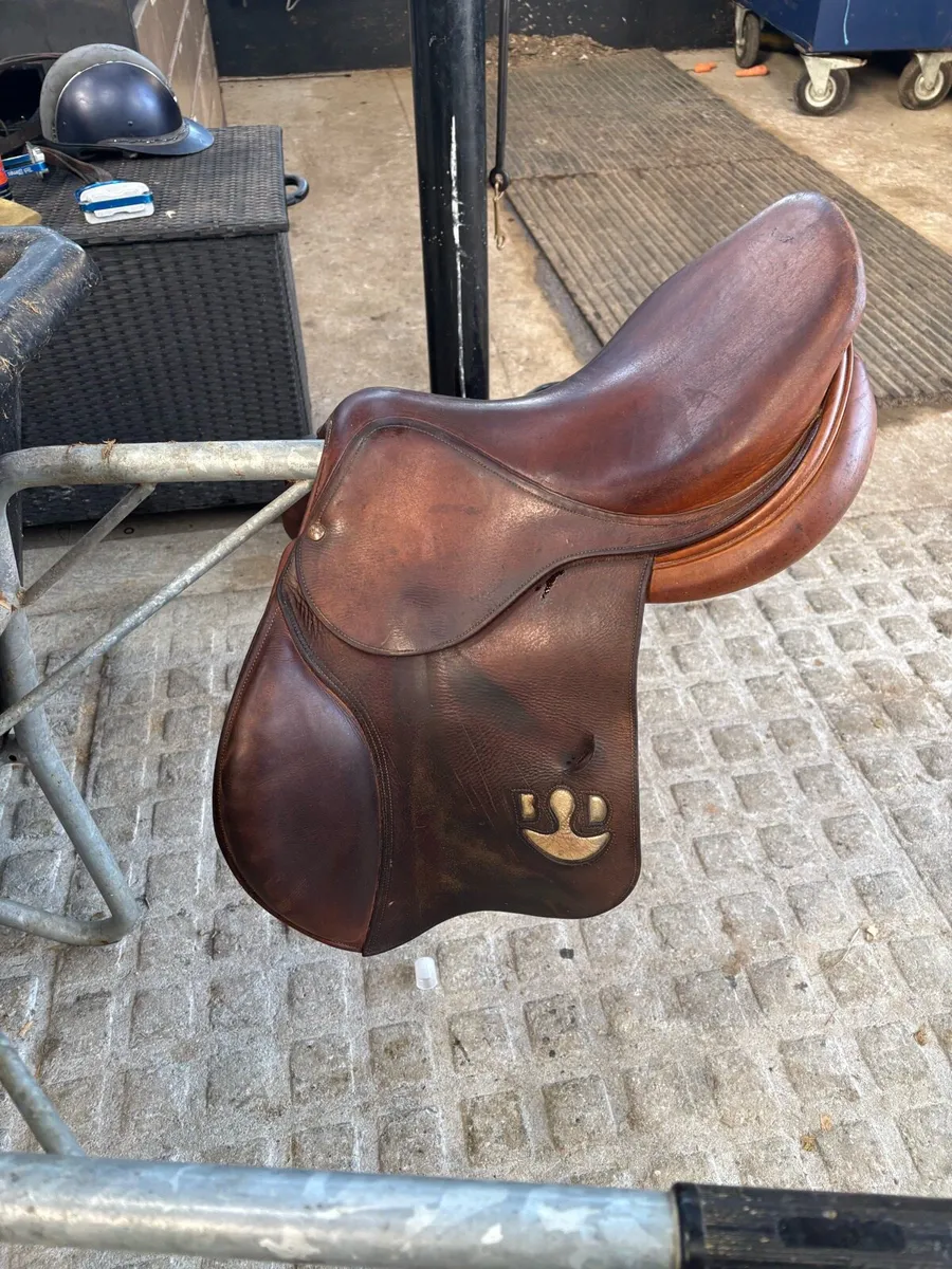 Saddle - Image 4