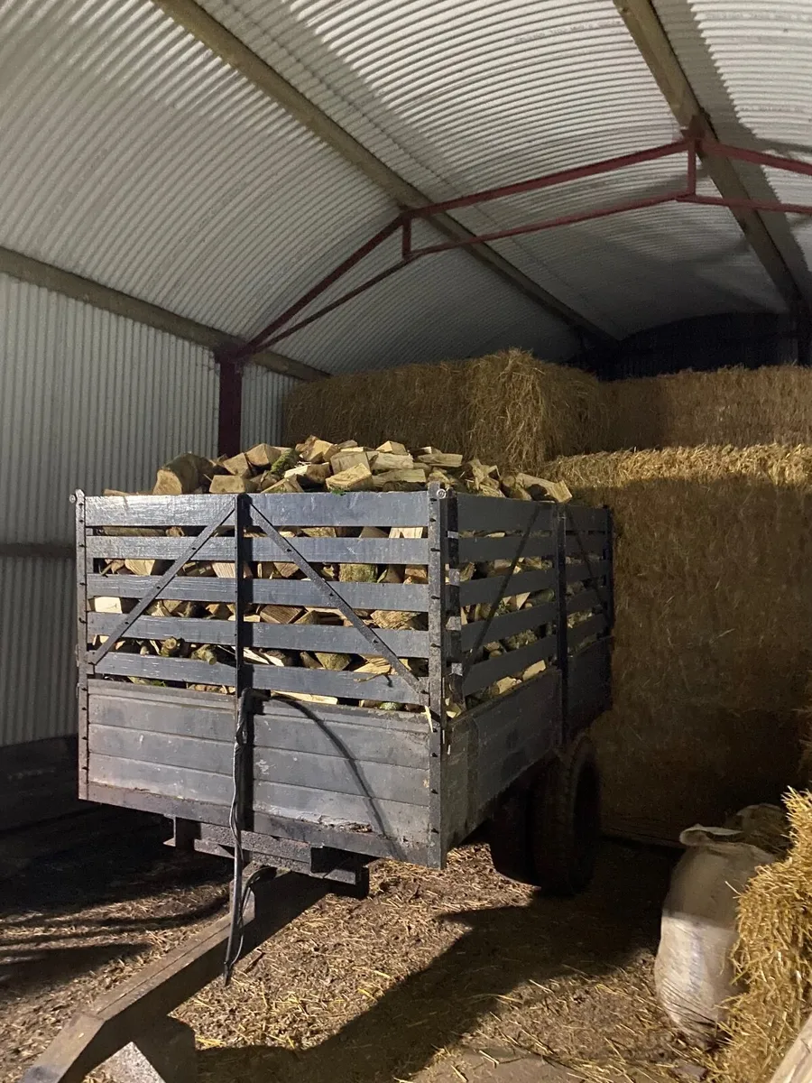 Hardwood timber - Image 4