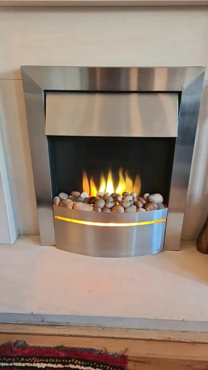 Electric Fire Insert - Image 1