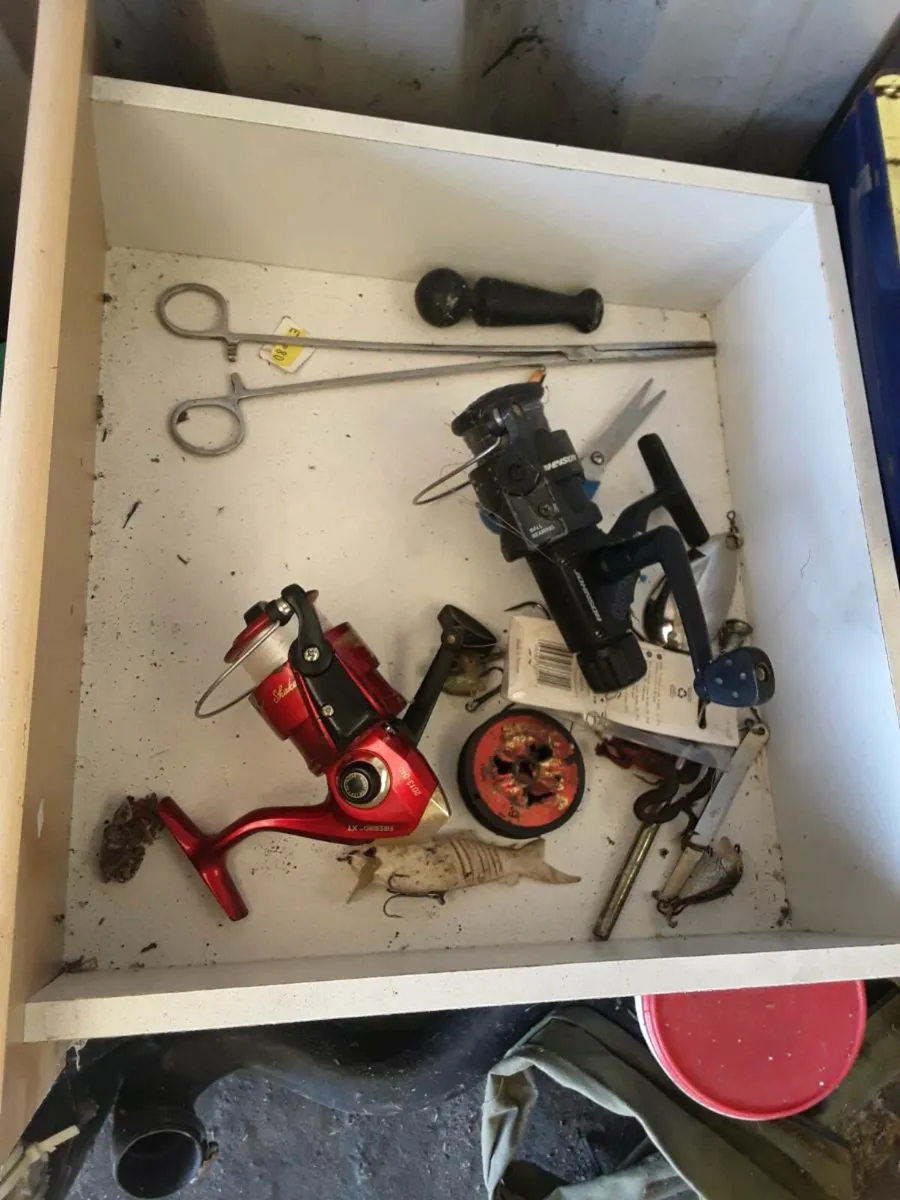 Fishing rods reels nets and bags 100e the lot - Image 2